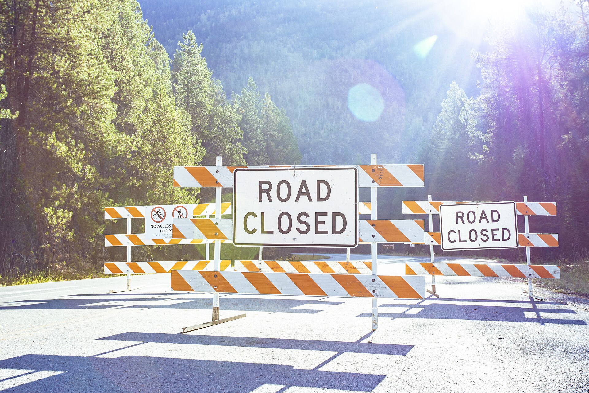 Orange and white striped barricades with two ROAD CLOSED signs across a road through a forest.